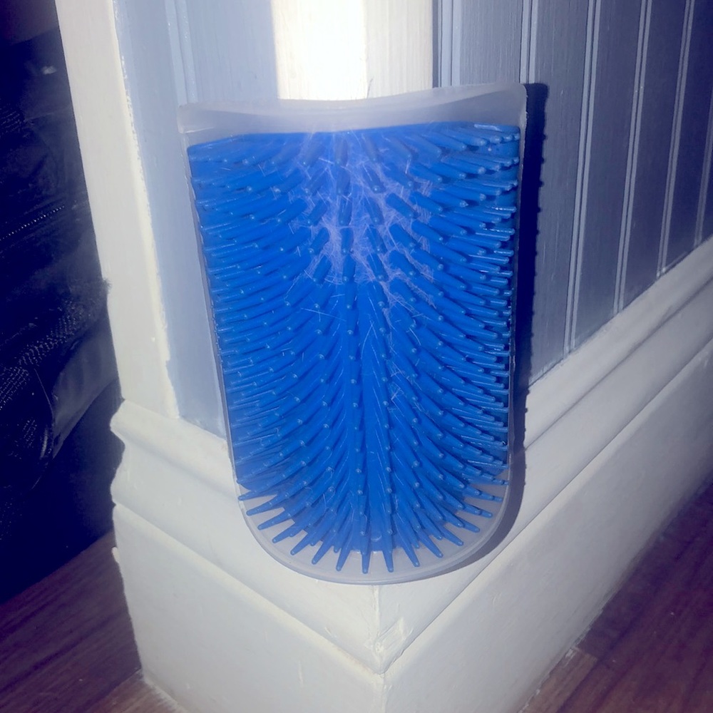 Cat scratching wall item